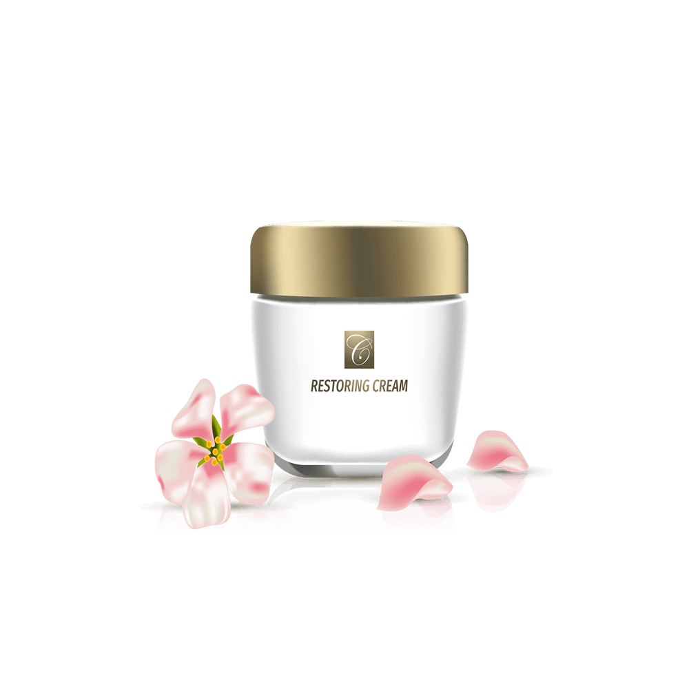 img-1 گلدان آپارتمانی کراسولا آواتا - تصویر 1