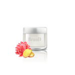 گلدان آپارتمانی تیلادنسیا - تصویر 4