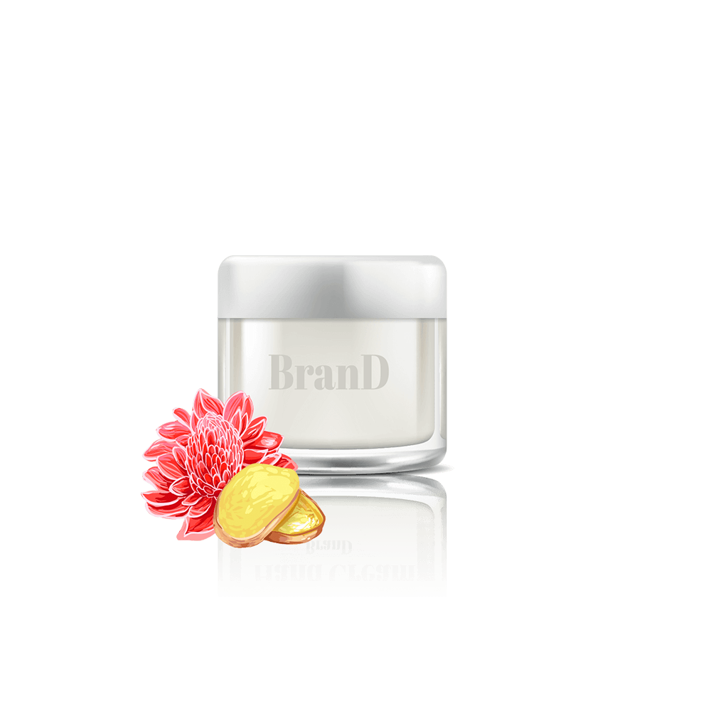 img-2 گلدان آپارتمانی زاموفیلیا - تصویر 1