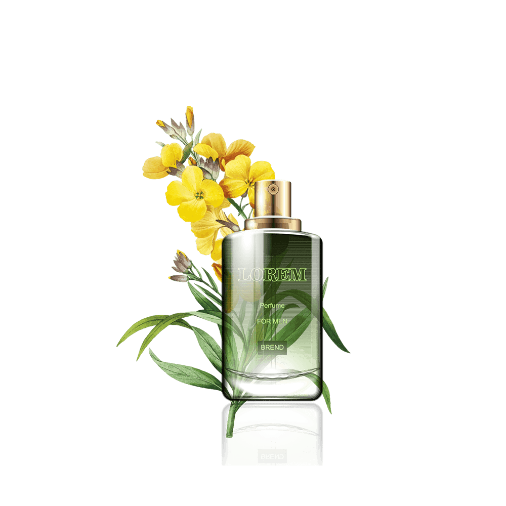 img-5-1 گلدان آپارتمانی دراسنا کامپکت - تصویر 1